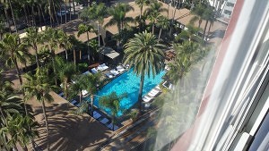 Hollywood Roosevelt pool area. View from deluxe room.