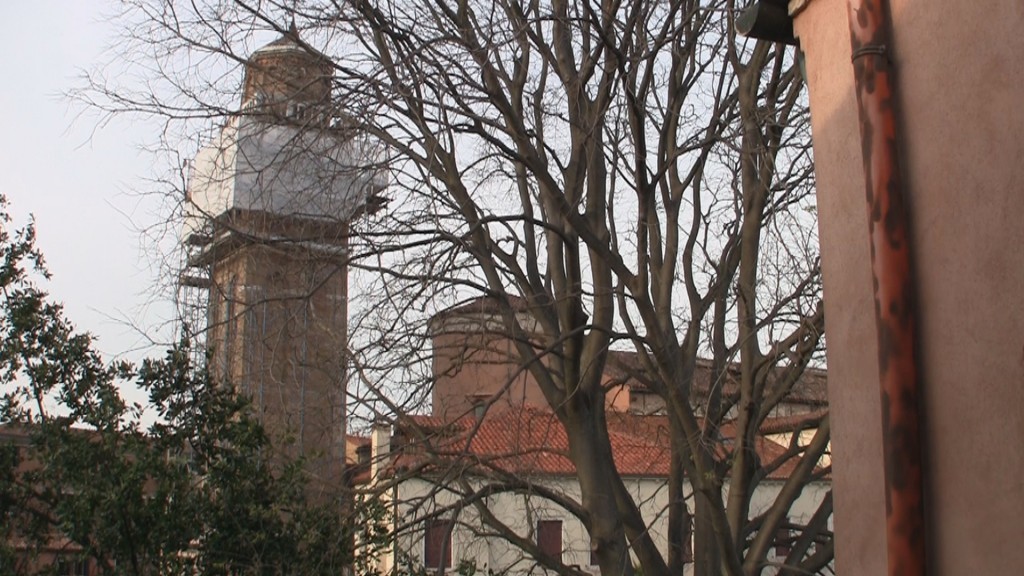 a tree with no leaves and a tower in the background
