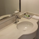 Sink and counter in a Deluxe Room.