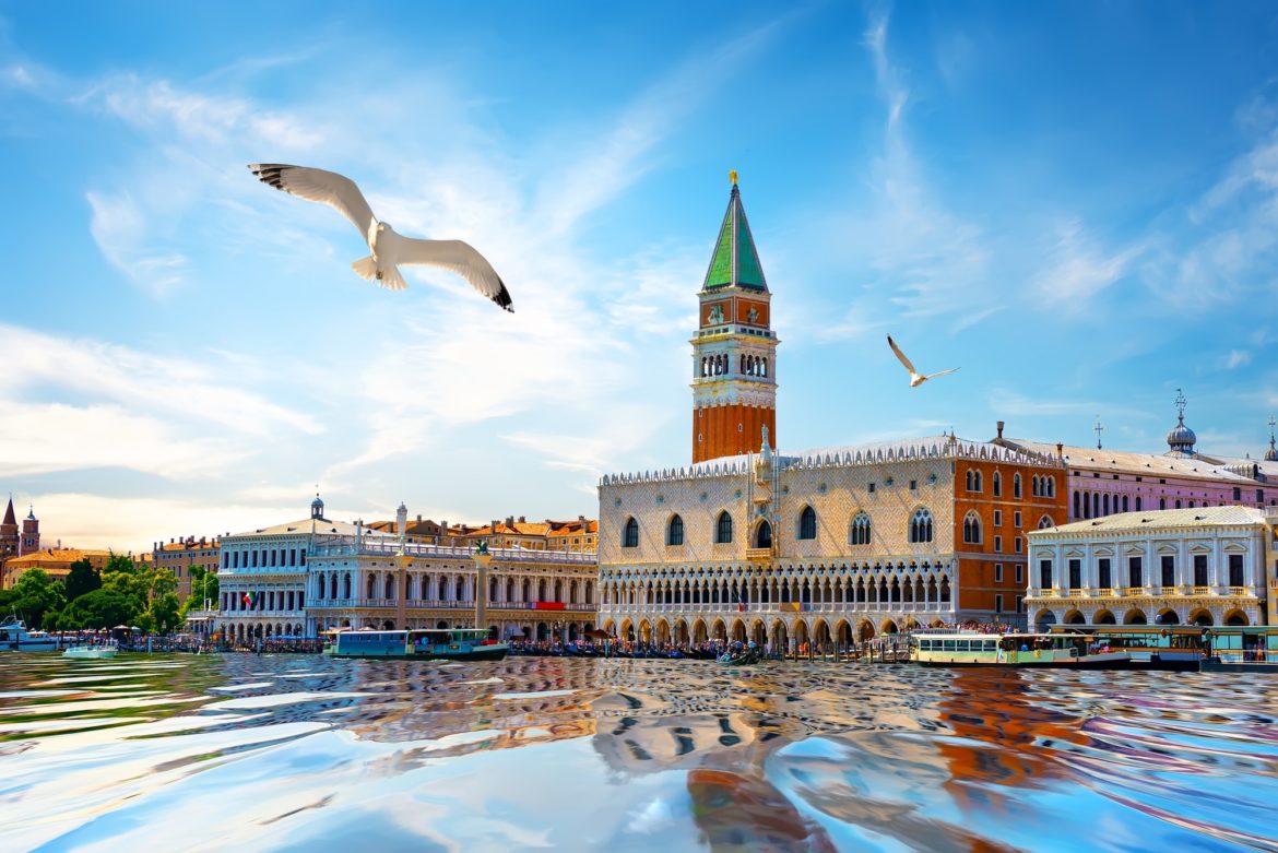 Seagulls and San Marco