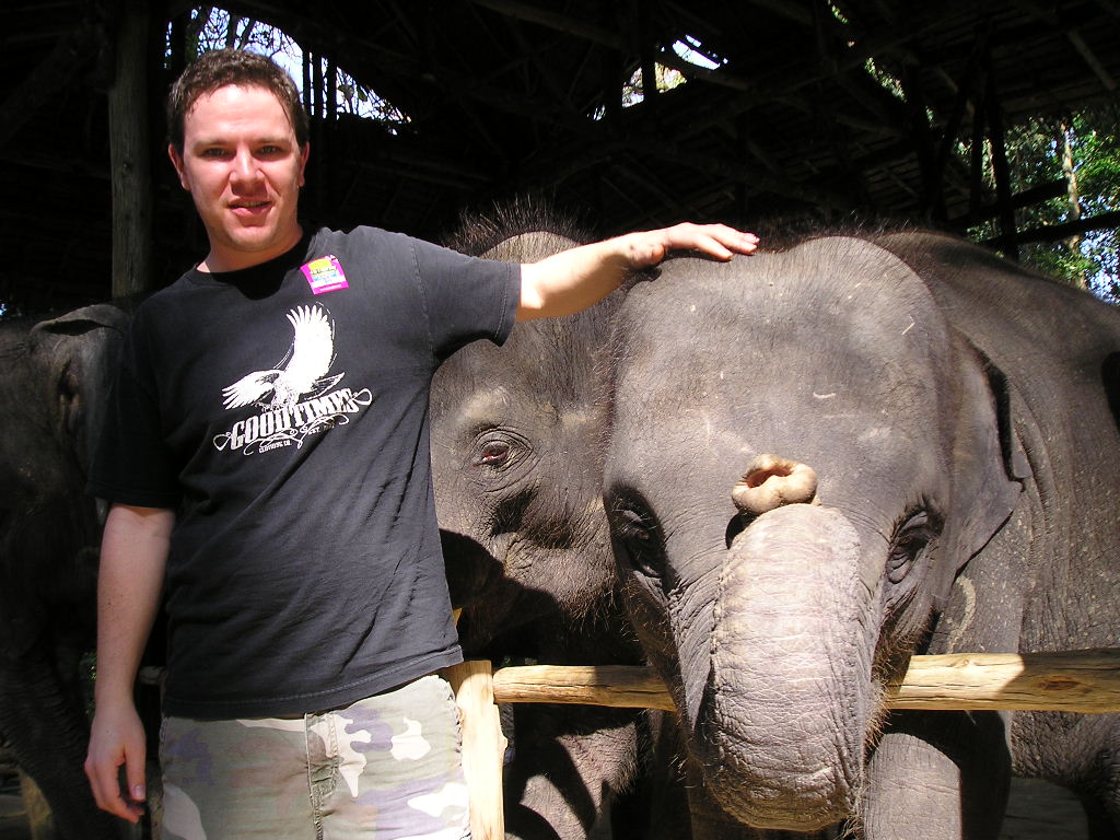 a man standing next to an elephant