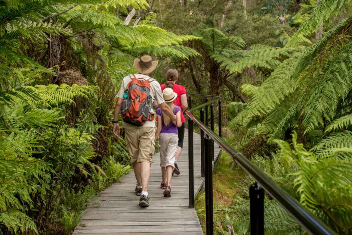 Family travel. Pathway in the tropical forest. Walking track. Australia