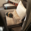 Fruit & Cheese Goes Global: Inside Alaska Airlines’ New 787 Dreamliner Suites