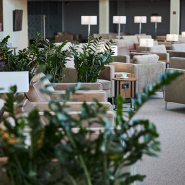 A spacious lounge area with rows of beige armchairs and small wooden side tables. Each table has a white lamp, and there are green plants placed between the seating areas. The room has a modern and clean design, with a reception desk visible in the background.
