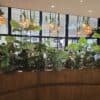Airport Lounge Day Passes, Compared: What an Occasional Flyer Should Actually Book